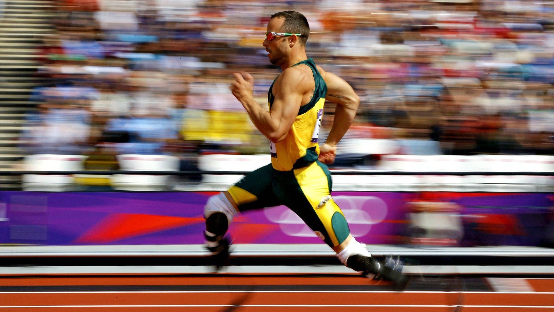 城市体育场馆数字化管理系统正式投入使用,体育场馆智慧管理系统